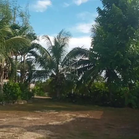 Casa James Apartment, Rooms , Pool And Restaurant Siquijor Exterior photo